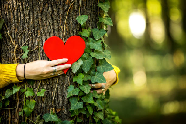 istock Human and nature contact 1257248323