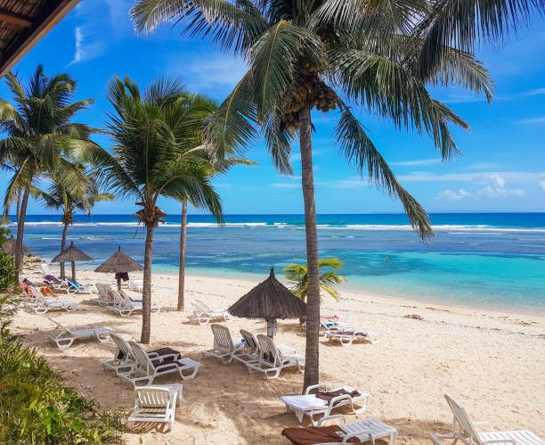 istock Saint-Anne Beach, Guadeloupe. 1257248455