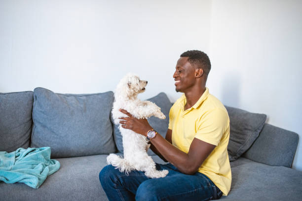 istock Mature Black Man Playing with Dog on the Sofa 1257248478