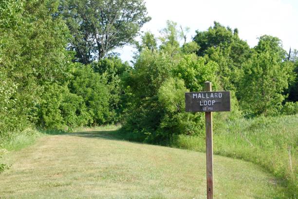 istock Grass Trail in the Park 1257250477