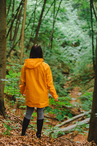 woman in yellow raincoat walking by rainy forest. rear view. copy space