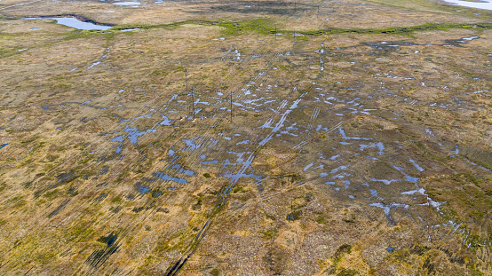 Landscape of the forest-tundra, aerial view, traces of caterpillar equipment on the surface of tundra vegetation, nature conservation, environmental problems of the tundra.