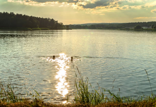 istock sunset, evening reflection of the sun in the water 1257253372