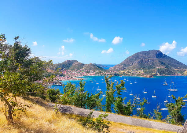istock The Holy Islands, Guadeloupe. 1257253442