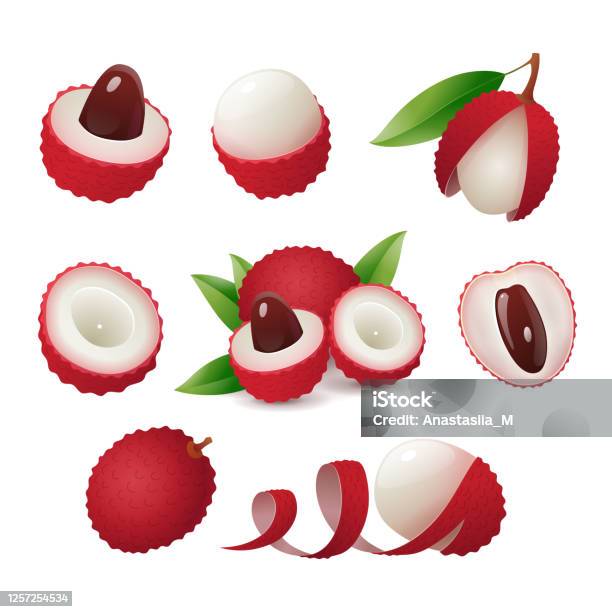 Lychee Section Whole Cut In Half Peeled Lychee Set Stock Illustration - Download Image ...