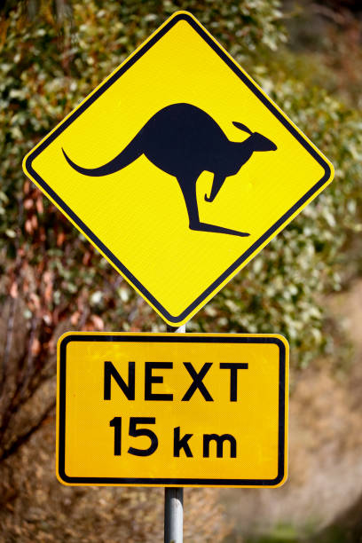 istock Kangaroos road sign 1257256164