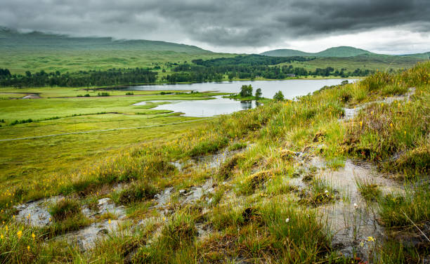 paesaggio lungo la west highland way in scozia. - swamp moody sky marsh standing water foto e immagini stock