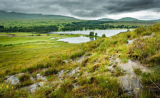 Water trickles into the moor near Loch Tulla on a rainy day.