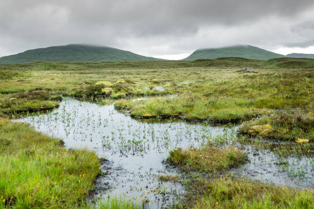 Landscape along the West highland Way in Scotland. a view of Rannoch moor, between moor and marsh, in the rain. marsh photos stock pictures, royalty-free photos & images