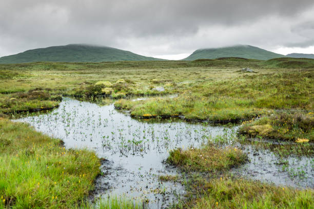 Landscape along the West highland Way in Scotland. a view of Rannoch moor, between moor and marsh, in the rain. Peat stock pictures, royalty-free photos & images