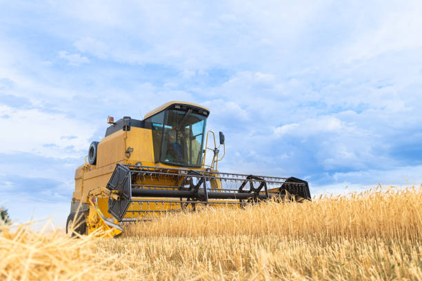 istock wheat mower working in the field during harvest