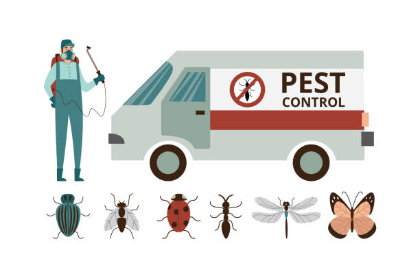 ilustrações, clipart, desenhos animados e ícones de conjunto de controle de pragas com trabalhadores e insetos, ilustração vetorial plana isolada. - service pest insect fly