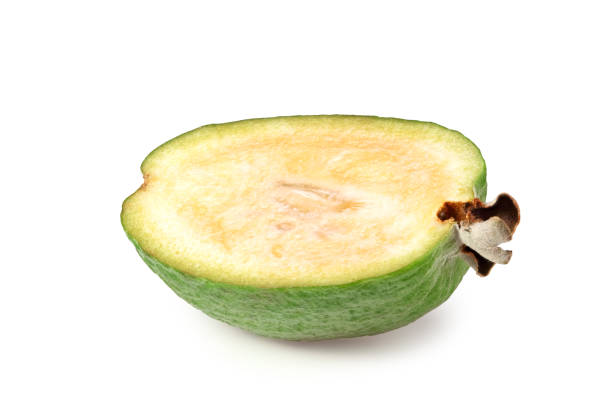 corte de feijoa aislado sobre fondo blanco. acca sellowiana. fruta tropical - feijoas ripe fruit iodine fotografías e imágenes de stock