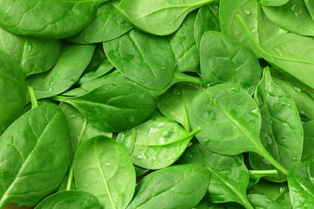 istock spinach leaves background. spinach texture. Healthy food 1257262979