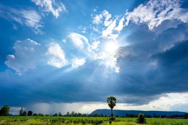 istock Light of sunny on cloud and blue sky background 1257265799