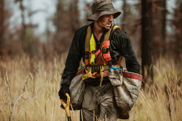 istock Ranger working in forest planting new trees 1257265881