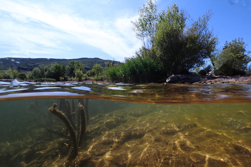 View of the Wiesent river in Franconian Switzerland/Germany with its fresh, crystal-clear water