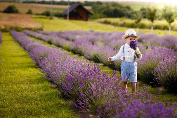 istock Little boy walking on a lavender field. In a stylish hat. 1257267857