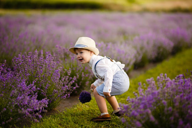 istock Little boy walking on a lavender field. In a stylish hat. 1257268126