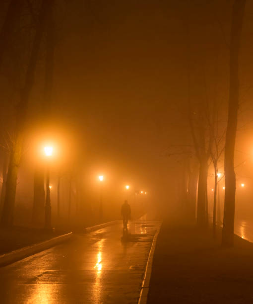 istock man park fog mist night 1257269467