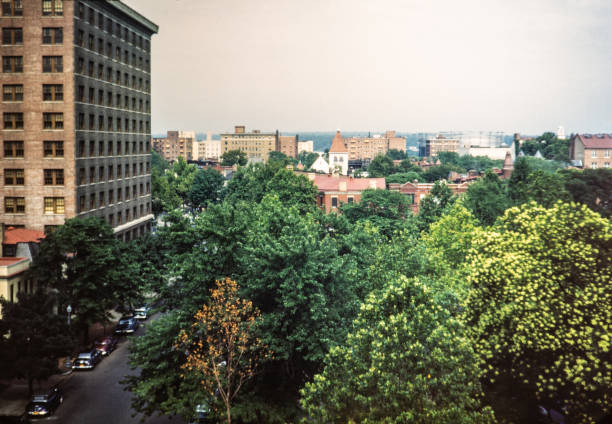 istock The Washington National mall during the 1950's 1257271235