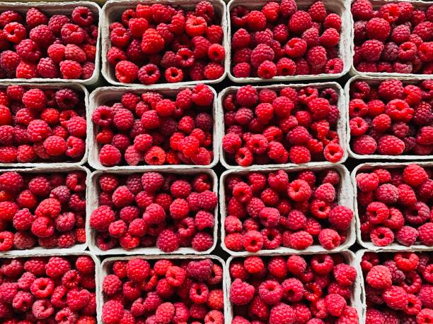 Fresh raspberries in carton boxes, from above