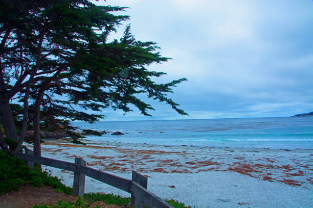 istock Ocean View-Carmel California 1257273753