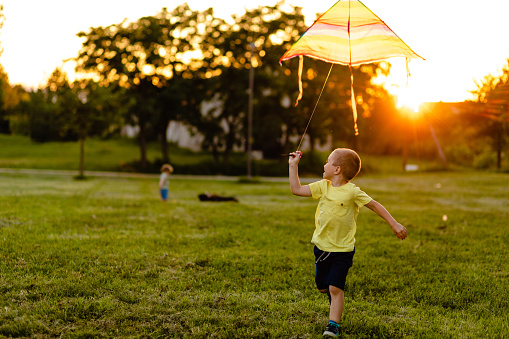 Playful 5 year's old boy spending day in nature with his brother while playing with rainbow kite on a summer day