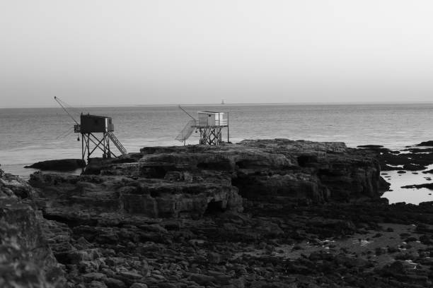 Rock fishing tiles in Royan (17)