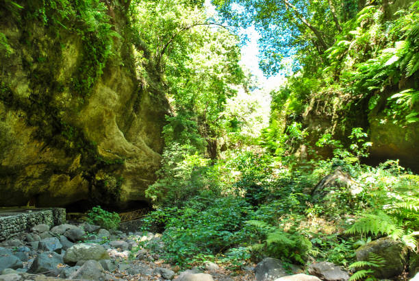istock waterfall in deep forest, digital photo picture as a background 1257284251