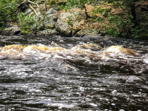 Scenic view of water rapids