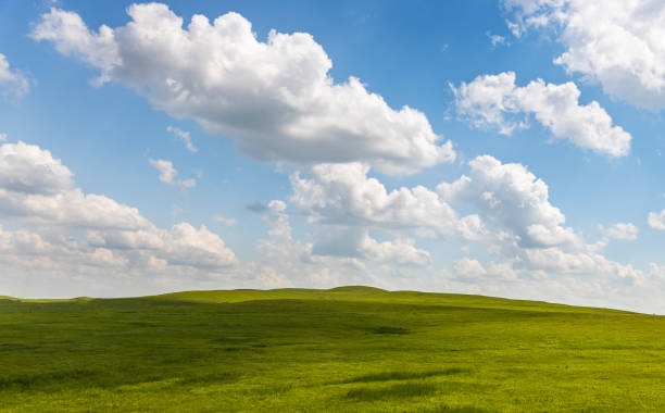 Photo of Hillside and Blue Sky