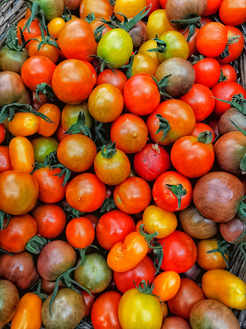 Colorful and healthy fresh tomatoes