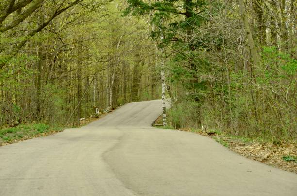 istock The road less travelled 1257290455