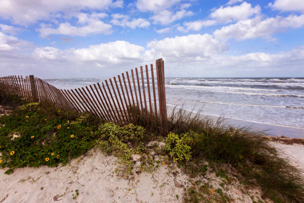 Barrier fence protecting sand dune with sea oats and beautiful sky Buxton, NC.
