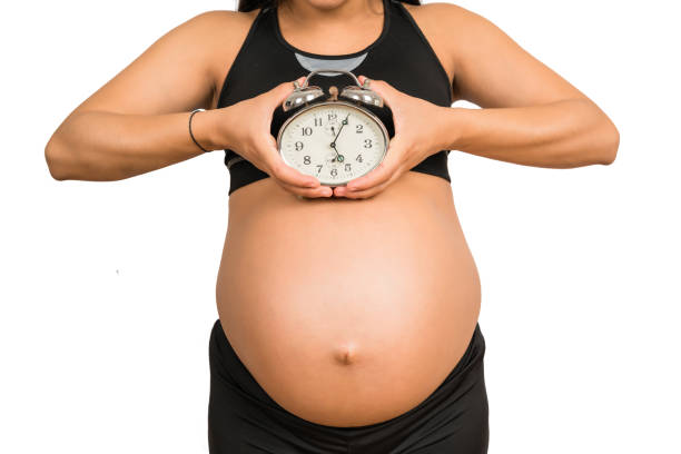 istock Pregnant woman holding alarm clock. 1257292155