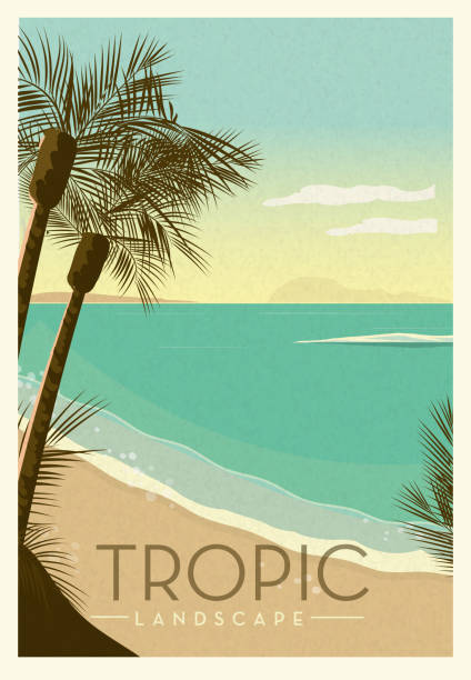 ilustrações, clipart, desenhos animados e ícones de praia tropical com palmeiras e projeto de pôster paisagístico panorâmico do oceano - ocean scenic illustrations