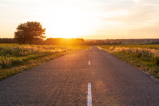 Beautiful country road. Straight asphalt road with sunset sun at the countryside