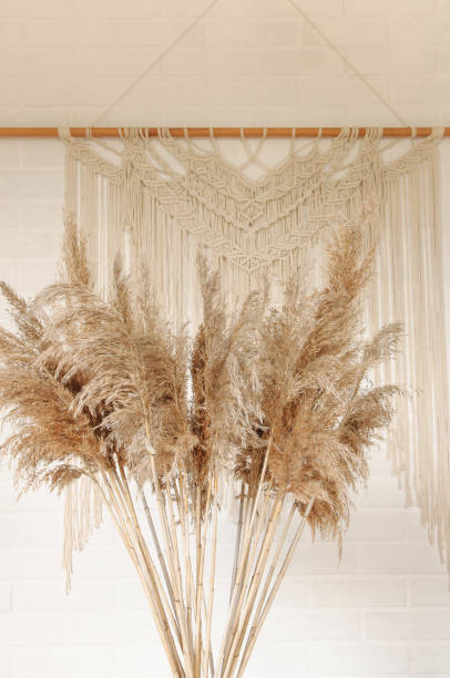istock Beige reed against a white wall with a macrame wall panel. A minimal, stylish, trendy concept with a beautiful background with light neutral colors. 1257295890