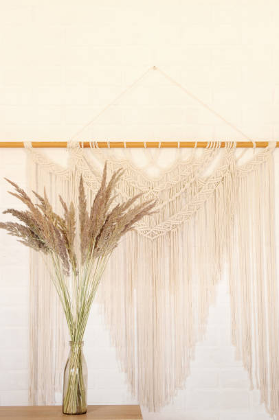 istock Beige reed against a white wall with a macrame wall panel. A minimal, stylish, trendy concept with a beautiful background with light neutral colors. 1257296407