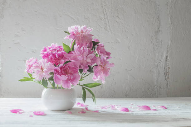 istock pink  peonies  on background old white wall 1257300047