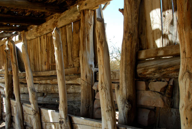 istock Ruins of an old abandoned stable on a ranch 1257302171