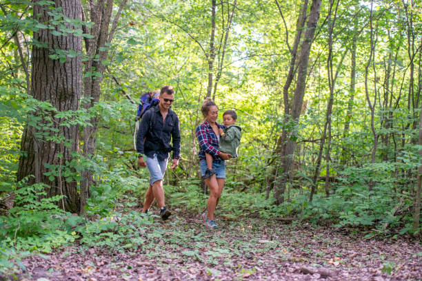 istock Family spending time together on a hike 1257304369