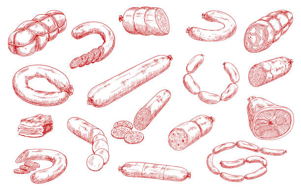 Sausages and meat products vector sketch set Sausages and meat products vector sketch set. Sliced salami, chorizo and pepperoni, bacon piece, hamon and mortadella, bratwurst or frankfurter sausages. Meat market, butchery, butcher shop products leg of ham stock illustrations