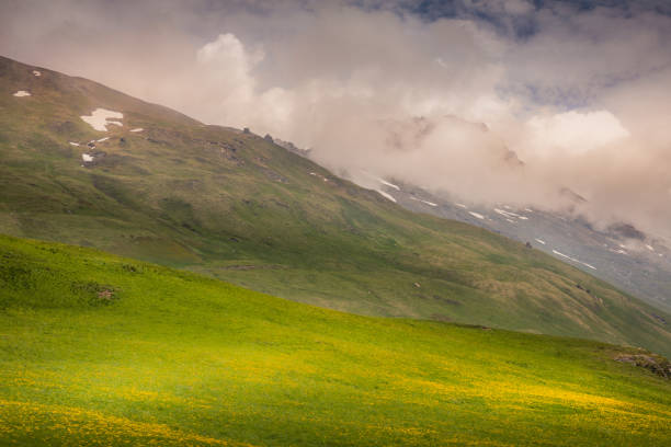 idyllische alpine hügelige landschaft mit blumen im frühling im val d'isére, in der nähe von bonneval-sur-arc – französische alpen - sunrise european alps mountain alpenglow stock-fotos und bilder