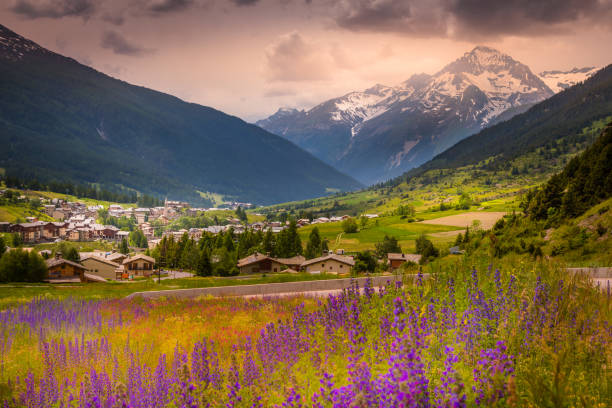istock Val Cenis (former Lanslevillard) with wildflowers at springtime – French alps 1257309664