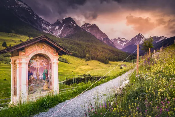 Idyllic Alpine landscape – wildflowers meadow in Tarasp village, Engadine – Switzerland
