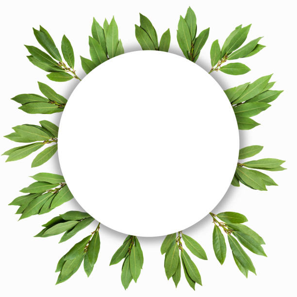 istock Creative layout of laurel leaves with a note card. 1257316276
