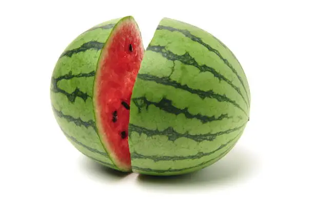 watermelon on a white background