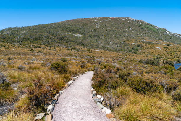 istock Cradle Mountain, Tasmania, Australia 1257319017
